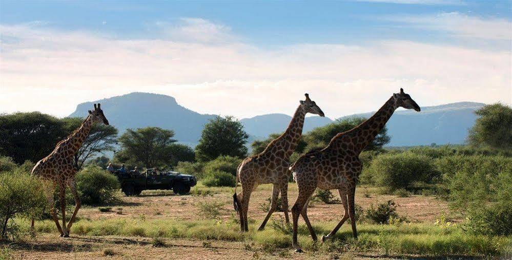 Marataba Safari Co Otel Marakele National Park Dış mekan fotoğraf